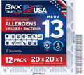 BNX TruFilter 20x20x1 Air Filter MERV 13 (12-Pack) - MADE IN USA - Electrostatic Pleated Air Conditioner HVAC AC Furnace Filters for Allergies, Pollen, Mold, Bacteria, Smoke, Allergen, MPR 1900 FPR 10