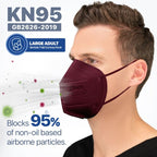 BNX 20-Pack KN95 E95 Protective Face Mask, Disposable Particulate Mask Made in USA, Protection Against Dust, Pollen and Haze, Red (20 Pack) (Earloop) (Model: E95) Adult Large